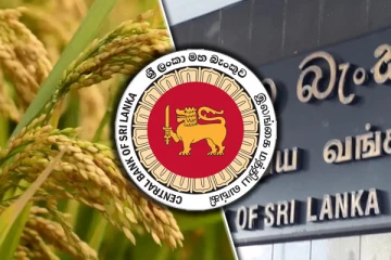 நாட்டின் நெல் உற்பத்தி தொடர்பில் வெளியான தகவல்