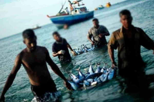 கடற்றொழிலாளர்களுக்கு வெளியான மகிழ்சியான அறிவிப்பு! டிசம்பர் 21 முதல் புதிய திட்டம் | New Fishermen Pension Scheme 2025