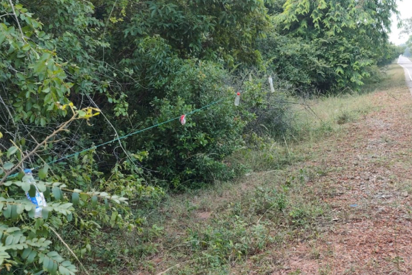 சிங்களவர்களுக்கு கொக்குத்தொடுவாயில் காணி இல்லை! ரவிகரன் கடும் எதிர்ப்பு | Sinhalese Have No Land In Kokutoduwai