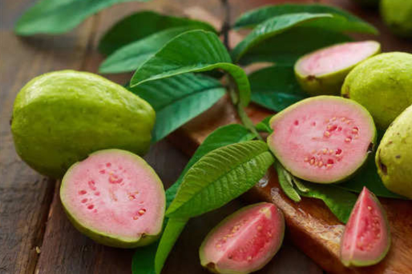உயிர்ச்சத்துக்கள் அதிகளவில் காணப்படும் கொய்யா | Guava Is Rich In Nutrients