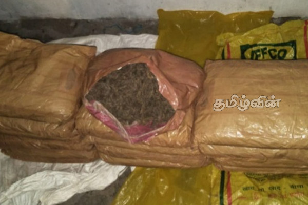 யாழில் கஞ்சாவுடன் இருவர் கைது(Photos) | Two Arrested With Ganja In Jaffna