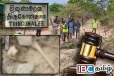 சம்பூரில் மீட்கப்பட்ட மனித எச்சங்கள் : நீதிமன்றம் பிறப்பித்த உத்தரவு