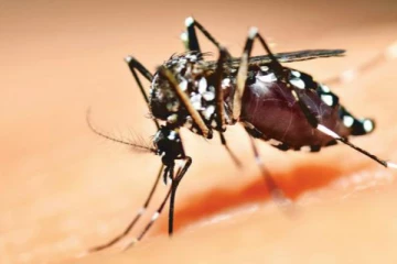 இலங்கையில் வரலாறு காணாத வகையில் டெங்கு நோயின் தாக்கம் அதிகரிப்பு!