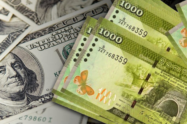 இலங்கை ரூபாவின் பெறுமதியில் இன்று ஏற்பட்ட மாற்றம் | Dollar Rates In Sri Lanka Banks Today Usd To Lkr