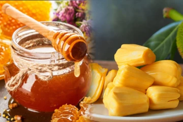 பலாப்பழம் சாப்பிட்ட பிறகு மறந்து கூட இந்த உணவுகளை சாப்பிடாதீங்க! பெரும் ஆபத்தை ஏற்படுத்துமாம்