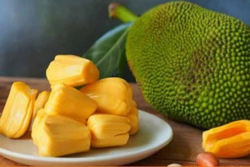 பல நோய்களை விரட்டும் பலாப்பழம்! 2 சுளை சாப்பிட்டால் நன்மைகளோ ஏராளம்