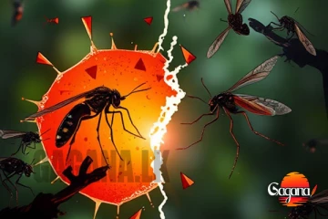 ඩෙංගු රෝගය බෝ කරන මදුරුවන් ම චිකුන්ගුන්‍යා පතුරුවෙනවා.. - වෛද්‍ය අංශ [VIDEO]