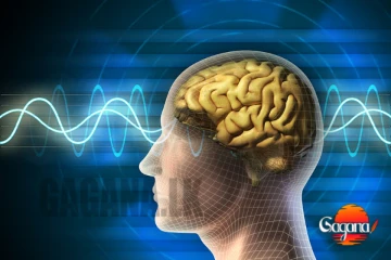 මොකක්ද මේ වෙන්නේ කාලගුණේ වෙනස නිසා රෝගයක් සීඝ්‍රයෙන් පැතිරේ.