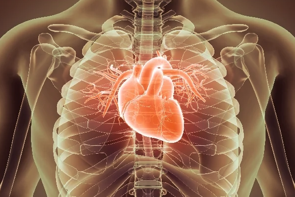 நீரிழிவு நோயாளிகளுக்கு சீஸ் ஏன் நல்லது தெரியுமா? நிபுணர் விளக்கம் | Why Cheese Is Good For Diabetic Expert Explanation