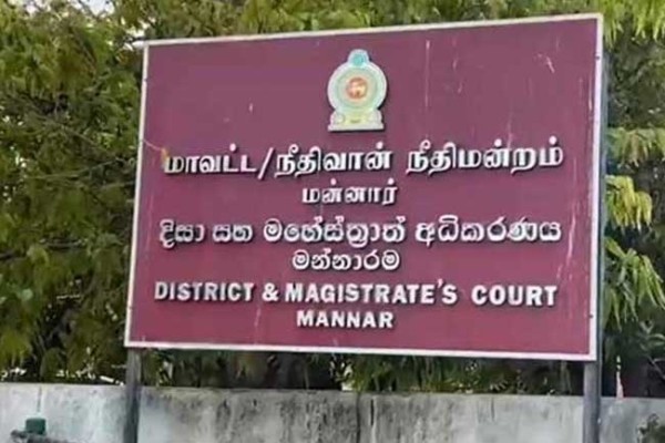மன்னார் காற்றாலை விவகாரம்.. நீதிமன்றத்தில் இணக்கத் தீர்வு | Mannar Wind Power Issue