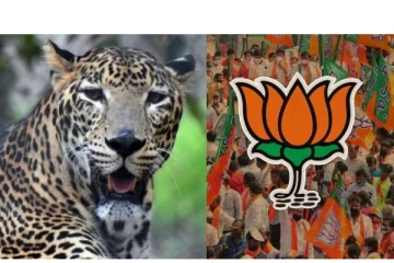 சிறுத்தையைப் பிடிக்க கொசு வலையுடன் சென்ற பாஜக தலைவர்.. மிரண்ட கிராம மக்கள் - பின்னணி என்ன?