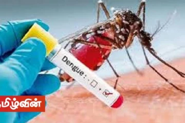 கிண்ணியாவில் டெங்கு காய்ச்சல் காரணமாக ஏழு வயது சிறுமியொருவர் உயிரிழப்பு