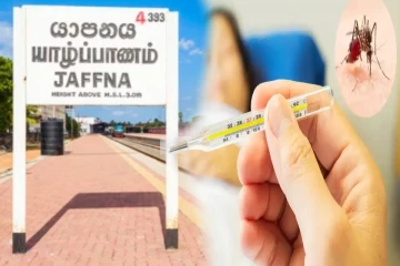 யாழில் இதுவரையில் 694 டெங்கு நோயாளர்கள் பதிவு