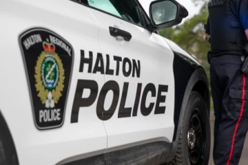 களவாடப்பட்டு டுபாய்க்கு அனுப்பி வைக்கப்படவிருந்த வானகங்கள் மீட்பு