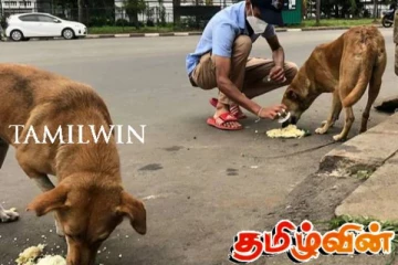 பதுளை வைத்தியசாலையில் நாய் கடியால் சிகிச்சைப் பெற்றவர்கள் தொடர்பில் வெளியாகியுள்ள வியப்பு தகவல்