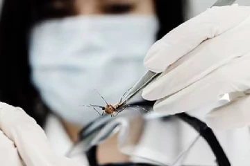 உலகை தாக்க வரும் மற்றுமொரு புதிய தொற்றுநோய்: உலக சுகாதார மையம் எச்சரிக்கை