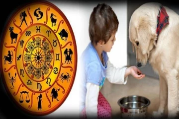 வீட்டில் நாய் வளர்ப்பது அதிர்ஷ்டம் கொடுக்குமா? உண்மையை தெரிஞ்சிக்கோங்க