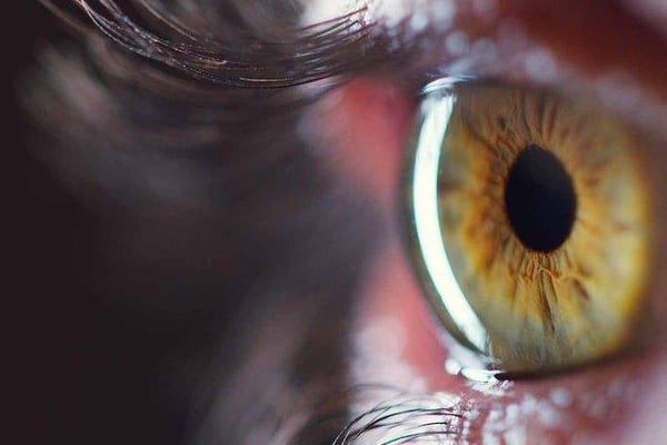 இலங்கை மக்களின் மனிதாபிமான செயற்பாடு | 2 2 Million People Ready To Donate Eyes