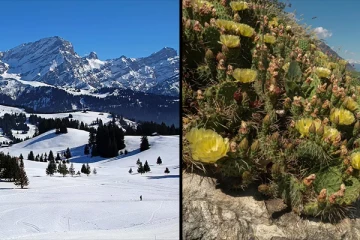 பாலைவனமாகும் சுவிட்சர்லாந்து?: அதிர்ச்சியை ஏற்படுத்தும் காட்சிகள்...