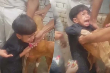 Funny Video: தயவு செய்து கொல்லாதீங்க... ஆட்டைக் கட்டிப்பிடித்து கதறும் குழந்தைகள்