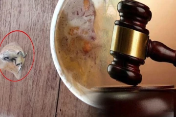 யாழில் தவளையுடன் ஐஸ்கிறீம் விற்பனை செய்தவருக்கு அபராதம் -செய்திகளின் தொகுப்பு