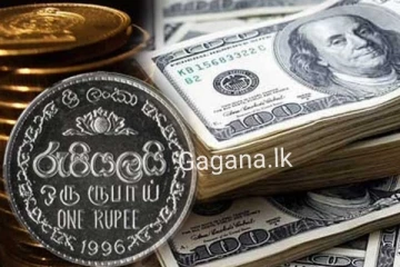 ශ්‍රී ලංකා රුපියල ගැන රටටම සුබ ආරංචියක්...ඩොලරයට සිදුවූ දේ..