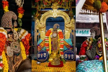 நாளை (24-04-2025) வருதினி ஏகாதசி அன்று இந்த விஷயங்களை மட்டும் செய்யாதீர்கள்