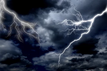 இடிமின்னல் தாக்கம் காரணமாக எரிந்து சாம்பலான கால்நடைகள்