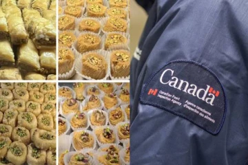 கனடாவில் பிஸ்தாவில் நோய்க்கிருமிகள்: சுகாதார அமைப்பு அறிவிப்பு