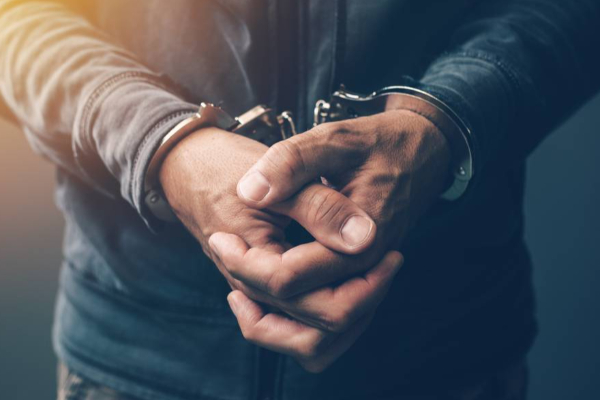 எறும்புண்ணியின் இறைச்சியுடன் சிக்கிய நபர் | Man Caught With Anteater Meat