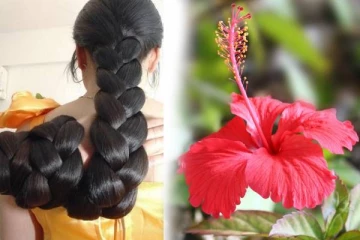 கூந்தல் வளர்ச்சியை அதிகரிக்க செம்பருத்தி ஒன்று போதும்.., எப்படி பயன்படுத்துவது?