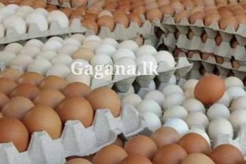 බිත්තර වලට ආයෙත් කුමක් වෙයි ද?. කරන්න යන දේ මෙන්න.