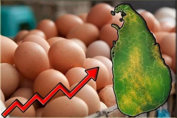 இலங்கையில் சடுதியாக அதிகரித்த முட்டை நுகர்வு