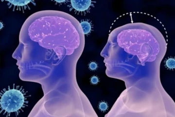 இந்தியாவில் பரவும் மூளையில் பாதிப்பை ஏற்படுத்தும் ஆபத்தான Zika வைரஸ்