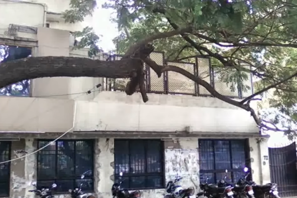 நடிகர் கமல் ஹாசனின் பிரமாண்ட வீட்டை பார்த்துள்ளீர்களா - இதோ பாருங்க | Kamal Haasan House
