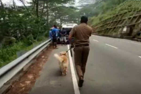 சிவனொளிபாதமலை தரிசிக்க சென்ற சுமார் 35 பேர் அதிரடி கைது! | Sivanolipadamalai Visit 35 People Were Arrested