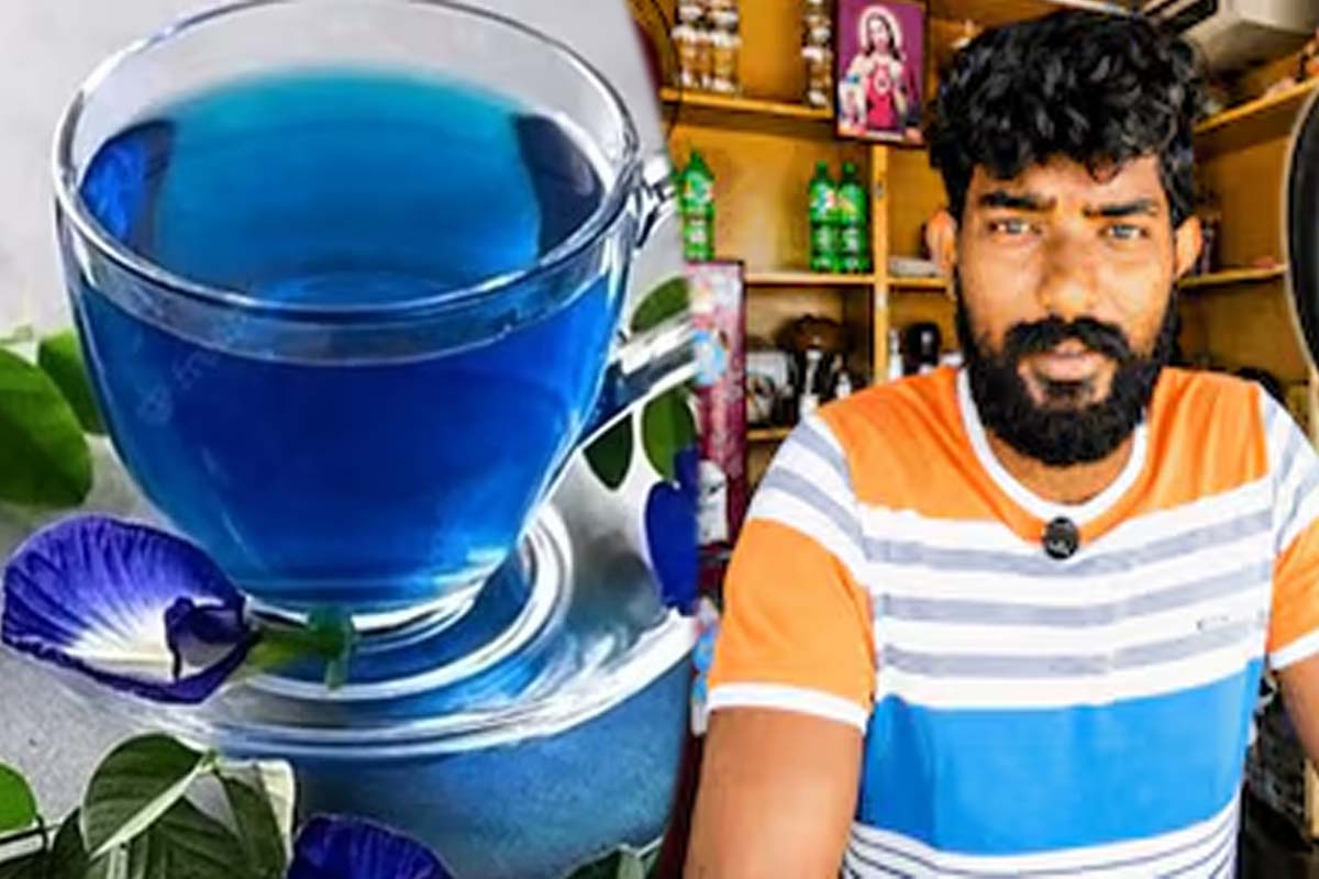 தமிழகத்தில் டிரெண்டாகும் சங்குப்பூ டீ... இதில் அப்படியென்ன ஸ்பெஷல்? | Thoothukudi Sangu Poo Tea Popularity