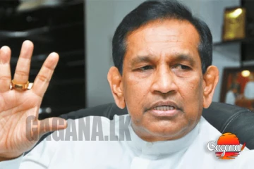 හරිනේ අමාරුව, කොමිෂමට කොකා පෙන්නුවට රාජිතගේ දේපළත් රාජසන්තක කරන්න යයි