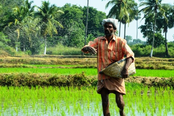 "பொய்யர்களிடமும் கள்வர்களிடமும் அகப்பட்ட விவசாய அமைச்சு" எம்.எம்.மஹ்தி குற்றச்சாட்டு | Ministry Of Agriculture M M Mahdi Allegation