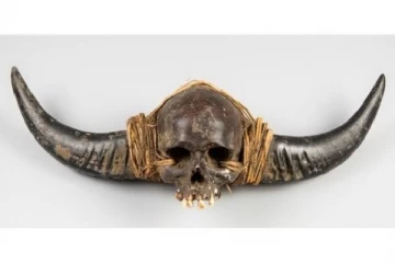 இந்தியாவில் எழுந்த சர்ச்சை…!“நாகா மனித மண்டை ஓடு” விற்பனையை கைவிட்ட பிரித்தானிய ஏல நிறுவனம்