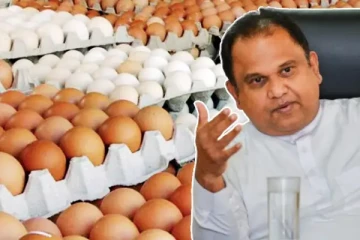 முட்டை இறக்குமதியில் ஊழல் : அமைச்சுப் பதவியை துறக்கத் தயாராகிறார் நளின் பெர்னாண்டோ