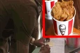 திடீரென புகுந்த அதிகாரிகள்; அறிக்கை வெளியிட்ட KFC நிர்வாகம்