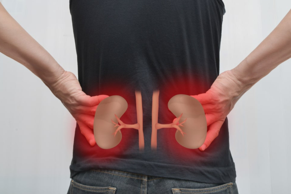 சிறுநீரக பாதிப்பை எச்சரிக்கும் 5 முக்கிய வலிகள்.., அவசியம் தெரிஞ்சிக்கோங்க | Kidney Damage Symptoms 5 Types Of Pain In The Body சிறுநீரக பாதிப்பை எச்சரிக்கும் 5 முக்கிய வலிகள்.., அவசியம் தெரிஞ்சிக்கோங்க | Kidney Damage Symptoms 5 Types Of Pain In The Body