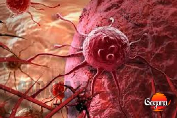 පිළිකාවට තිත - පිළිකා සෛල නසන පෝෂක ඖෂධයක් කොළඹ සරසවියෙන්