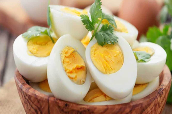 உலக முட்டைகள் தினம்! முட்டை பற்றி கட்டாயம் நாம் அறிந்திருக்க வேண்டியது | World Egg Day In Tamil