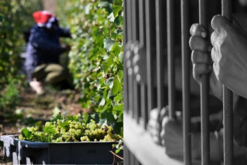 புலம்பெயர்ந்தோரை அடிமைகள் போல் நடத்திய மூன்று பேருக்கு பிரான்சில் சிறை