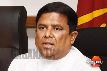 ආණ්ඩුවට රිදිලා වෙන්න ඇති එකපාර වත්කම් ගැන අහලා එන කෝල් ගැන වජිර කට අරී