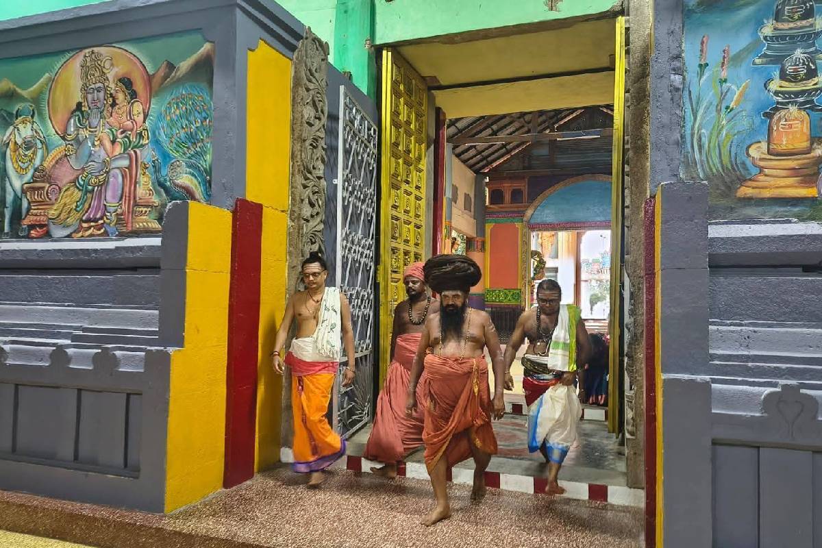 யாழில் புதிய மாற்றம் ; இந்தியாவிலிருந்து யாழ் வரை சைவ பட்டப்படிப்புகள் ஆரம்பம் | New Change In Jaffna Saiva Degree Courses India