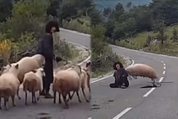 பெண்ணை சரமாரிய தாக்கிய செம்மறி ஆடு! பகீர் காணொளி இதோ