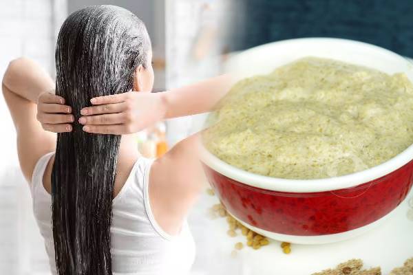 முடி உதிர்வை நிரந்தரமாக நிறுத்த உதவும் இயற்கை ஹேர்பேக்: எப்படி தயாரிப்பது? | Home Made Natural Hair Pack For Hair Growth